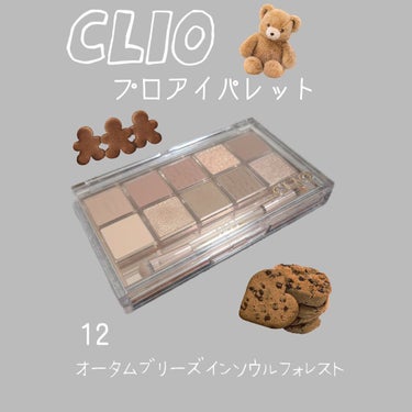 プロ アイ パレット 12 AUTUMN BREEZE IN SEOUL FOREST/CLIO/アイシャドウパレットを使ったクチコミ（1枚目）