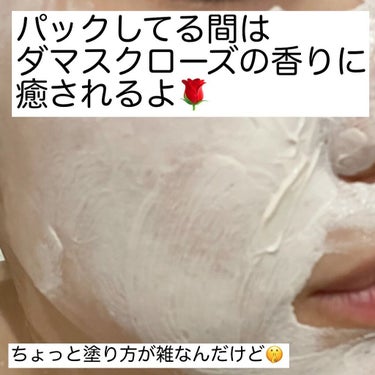 ソフトクレイ ベルベットマスク/FEMMUE/洗い流すパック・マスクを使ったクチコミ（5枚目）