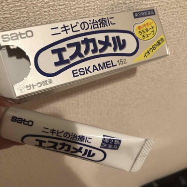 エスカメル（医薬品）/佐藤製薬/その他を使ったクチコミ（1枚目）