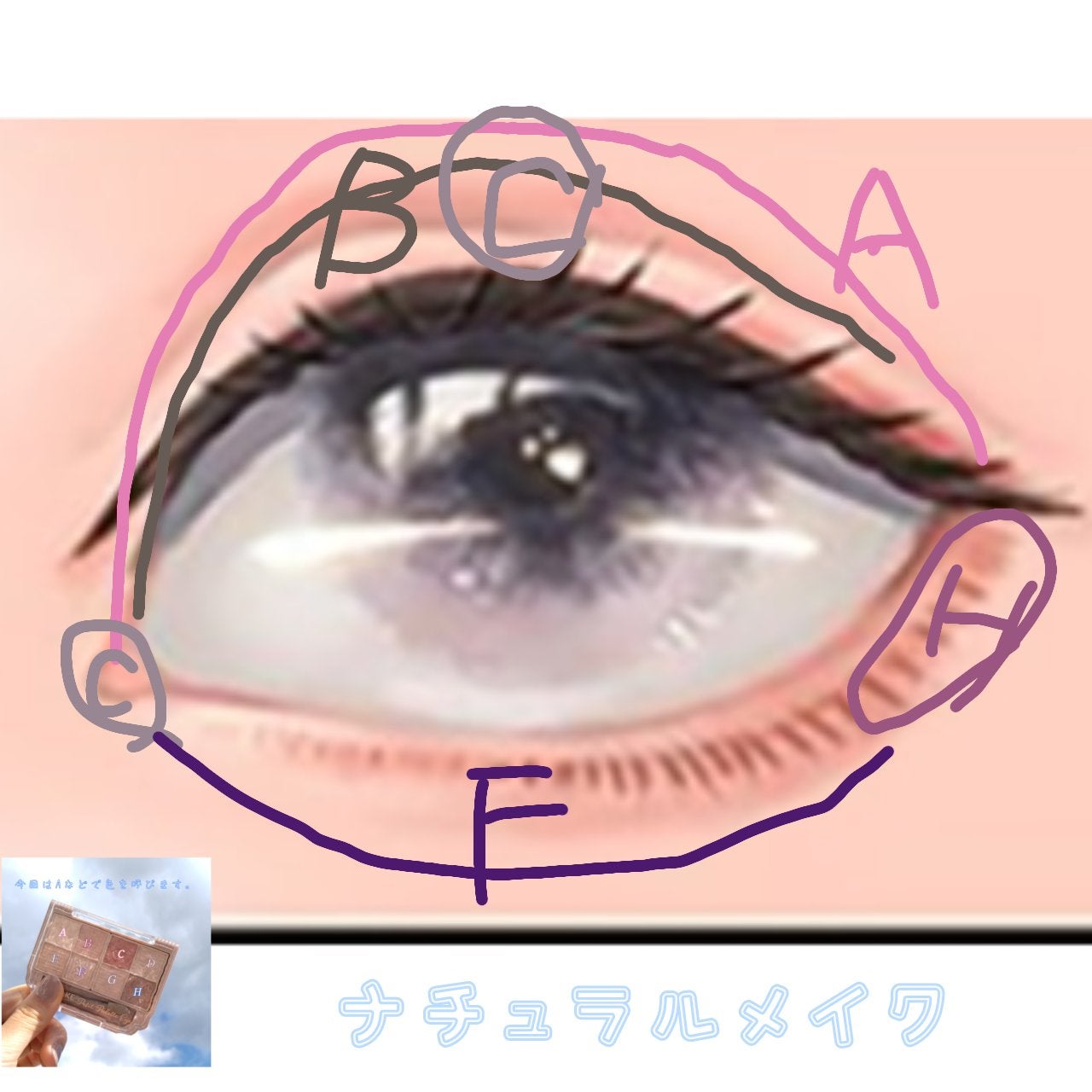 プティパレットアイズ/キャンメイク/パウダーアイシャドウを使ったクチコミ(4枚目)