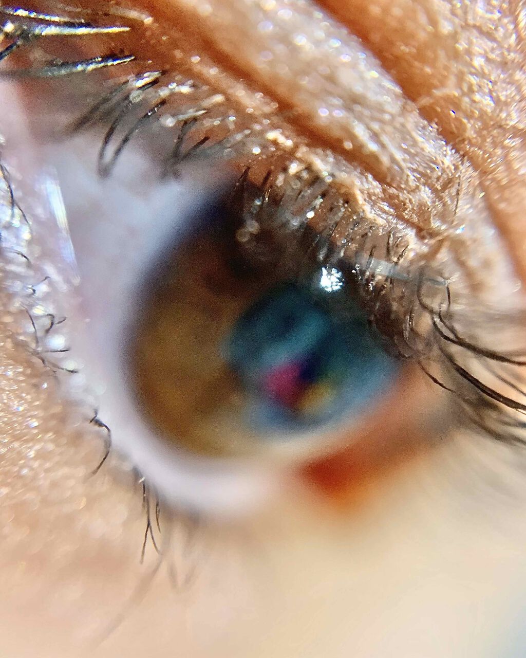 UR GLAM BLOOMING EYE COLOR PALETTE/U R GLAM/アイシャドウパレットを使ったクチコミ(3枚目)