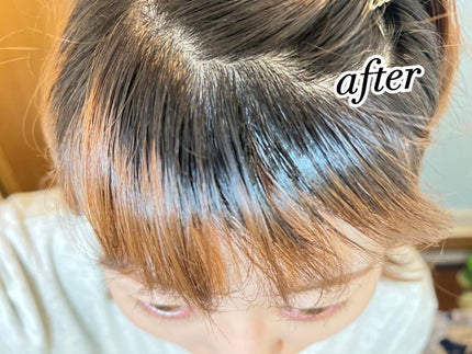 白髪隠しカラーリングブラシ/綺和美/ヘアカラーを使ったクチコミ(5枚目)