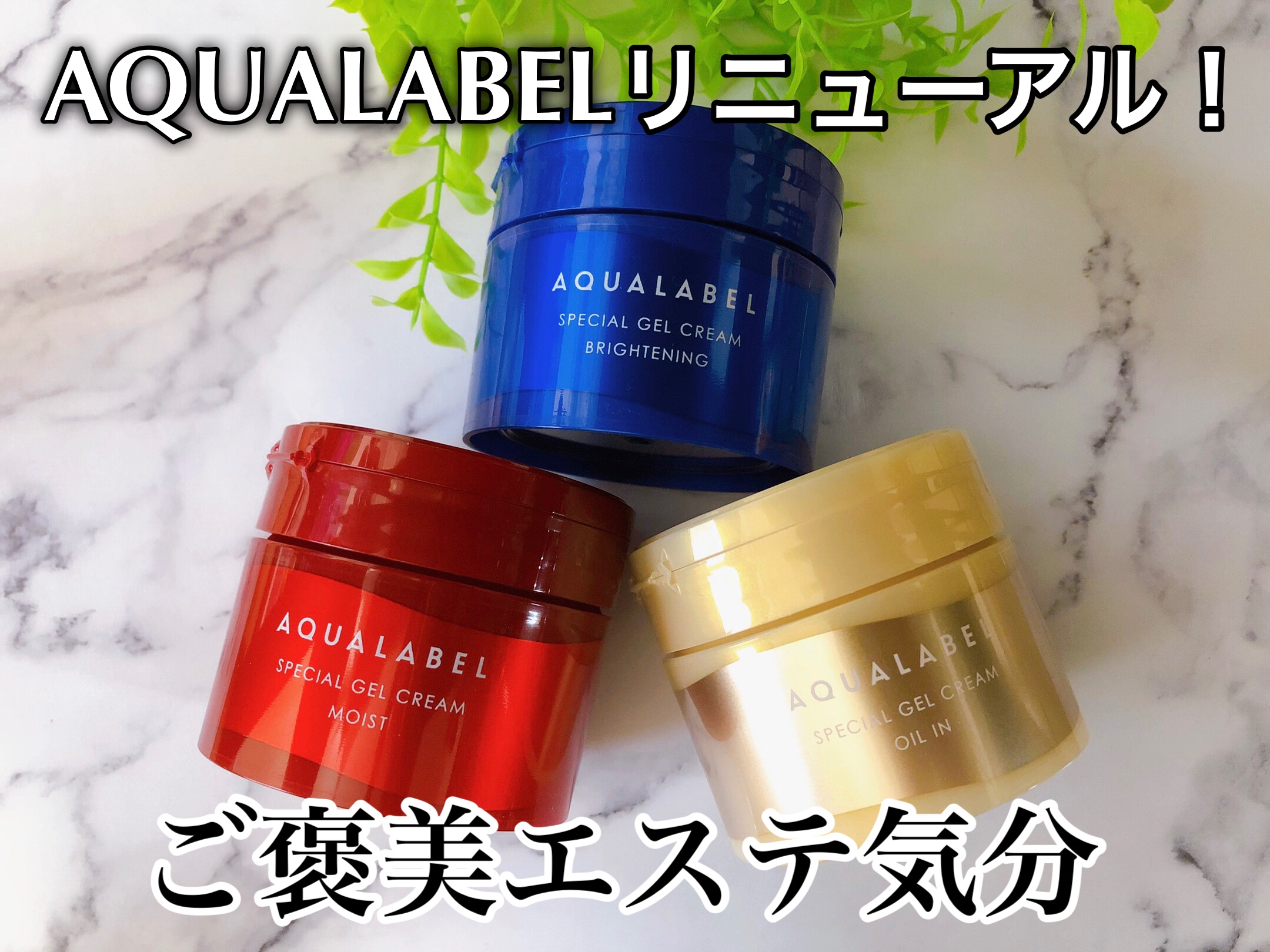 スペシャルジェルクリームN （モイスト） 90g/アクアレーベル/オールインワン化粧品を使ったクチコミ（1枚目）