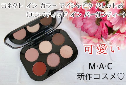 コネクト イン カラー アイシャドウ パレット × 6/M・A・C/アイシャドウパレットを使ったクチコミ(1枚目)