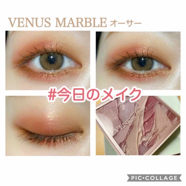 VenusMarble 9色アイシャドウパレット/Venus Marble/アイシャドウパレットを使ったクチコミ（1枚目）