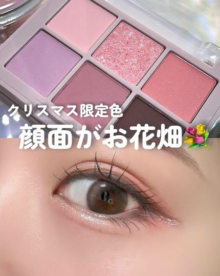 ブラーフィニシュシャドウパレット/Dinto/アイシャドウパレットを使ったクチコミ(1枚目)