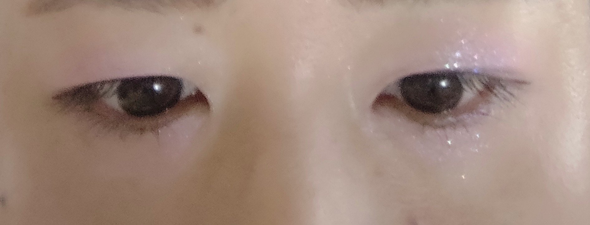 プロ アイ パレット エアー 12 クリスタル ポー(CRYSTAL PAW)/CLIO/アイシャドウパレットを使ったクチコミ（3枚目）