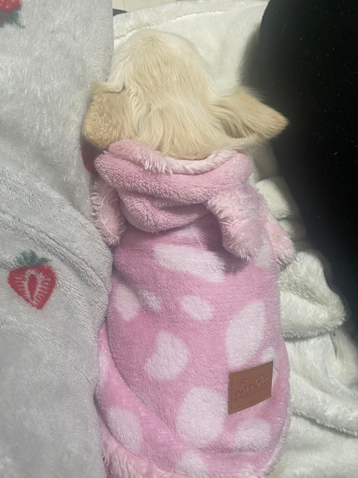 Xmasスノーマン バスボール/モリトク/入浴剤を使ったクチコミ(9枚目)