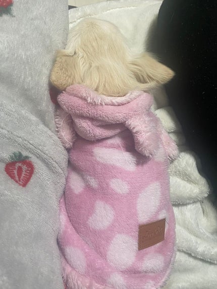 Xmasスノーマン バスボール/モリトク/入浴剤を使ったクチコミ(9枚目)