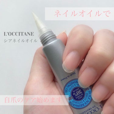 シア ネイルオイル/L'OCCITANE/ネイルオイル・トリートメントを使ったクチコミ（1枚目）