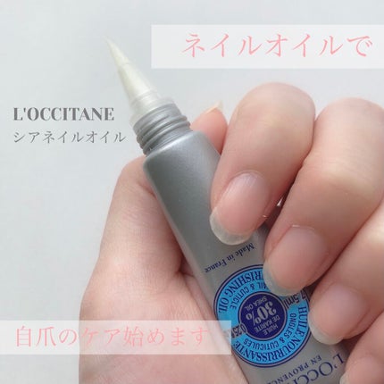 シア ネイルオイル/L'OCCITANE/ネイルオイル・トリートメントを使ったクチコミ(1枚目)