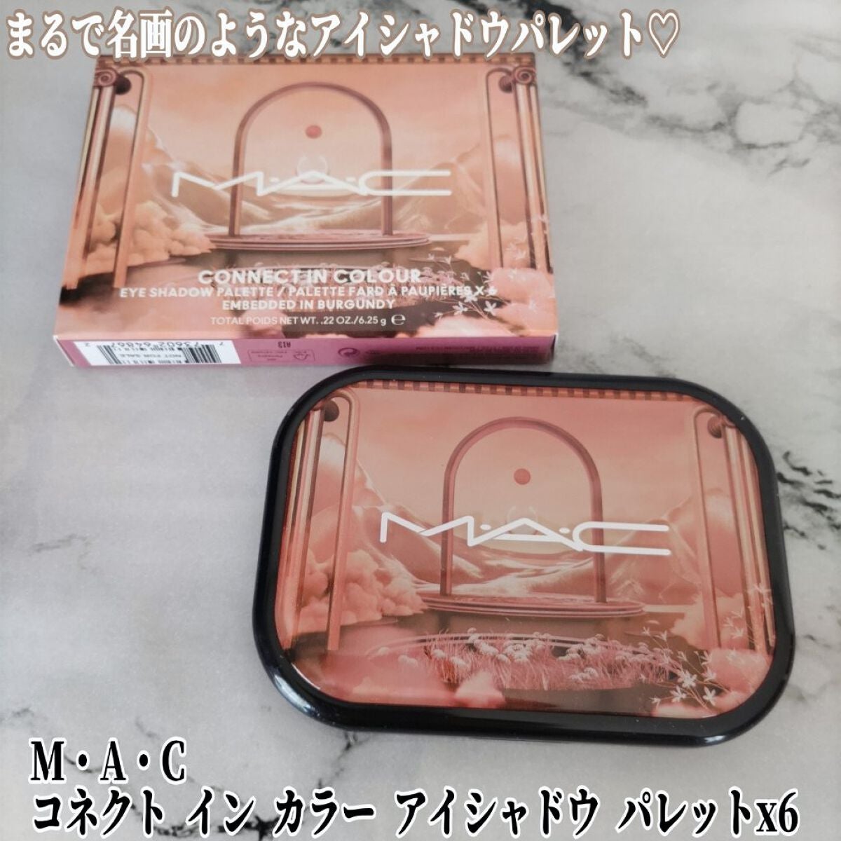 コネクト イン カラー アイシャドウ パレット × 6/M・A・C/アイシャドウパレットを使ったクチコミ(1枚目)