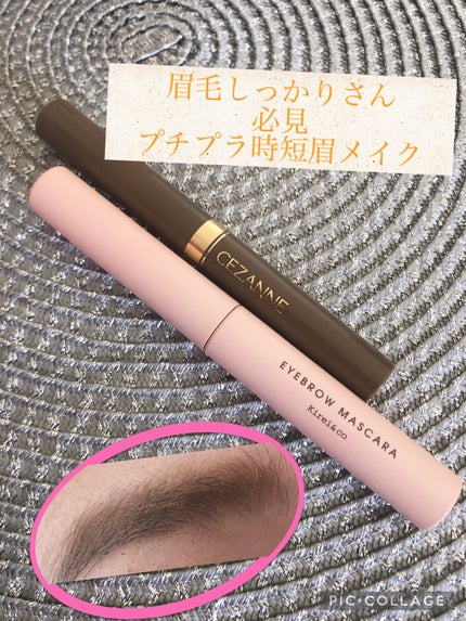 太芯アイブロウ/CEZANNE/アイブロウペンシルを使ったクチコミ(1枚目)