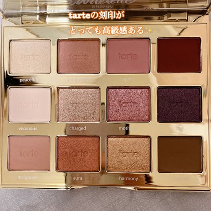 タルトレット E アマゾニアンクレイ パレット/tarte/アイシャドウパレットを使ったクチコミ(3枚目)