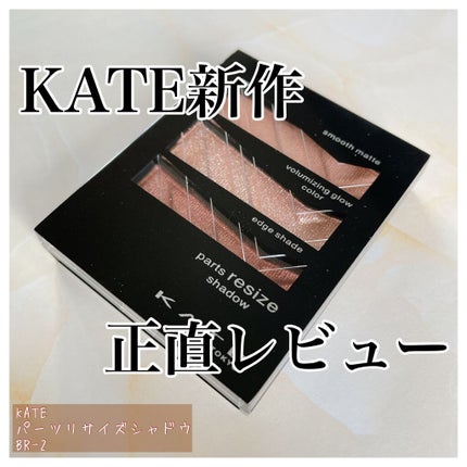 パーツリサイズシャドウ/KATE/アイシャドウパレットを使ったクチコミ(1枚目)