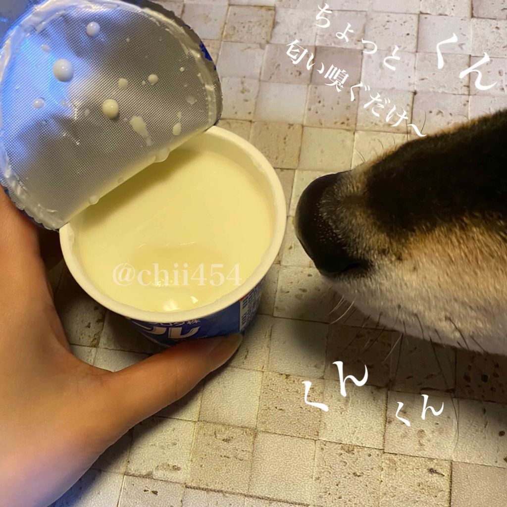 ソフール/ヤクルト/ヨーグルトを使ったクチコミ（2枚目）