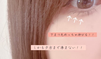 メロウボリュームマスカラ/&nd by rom&nd/マスカラを使ったクチコミ(2枚目)