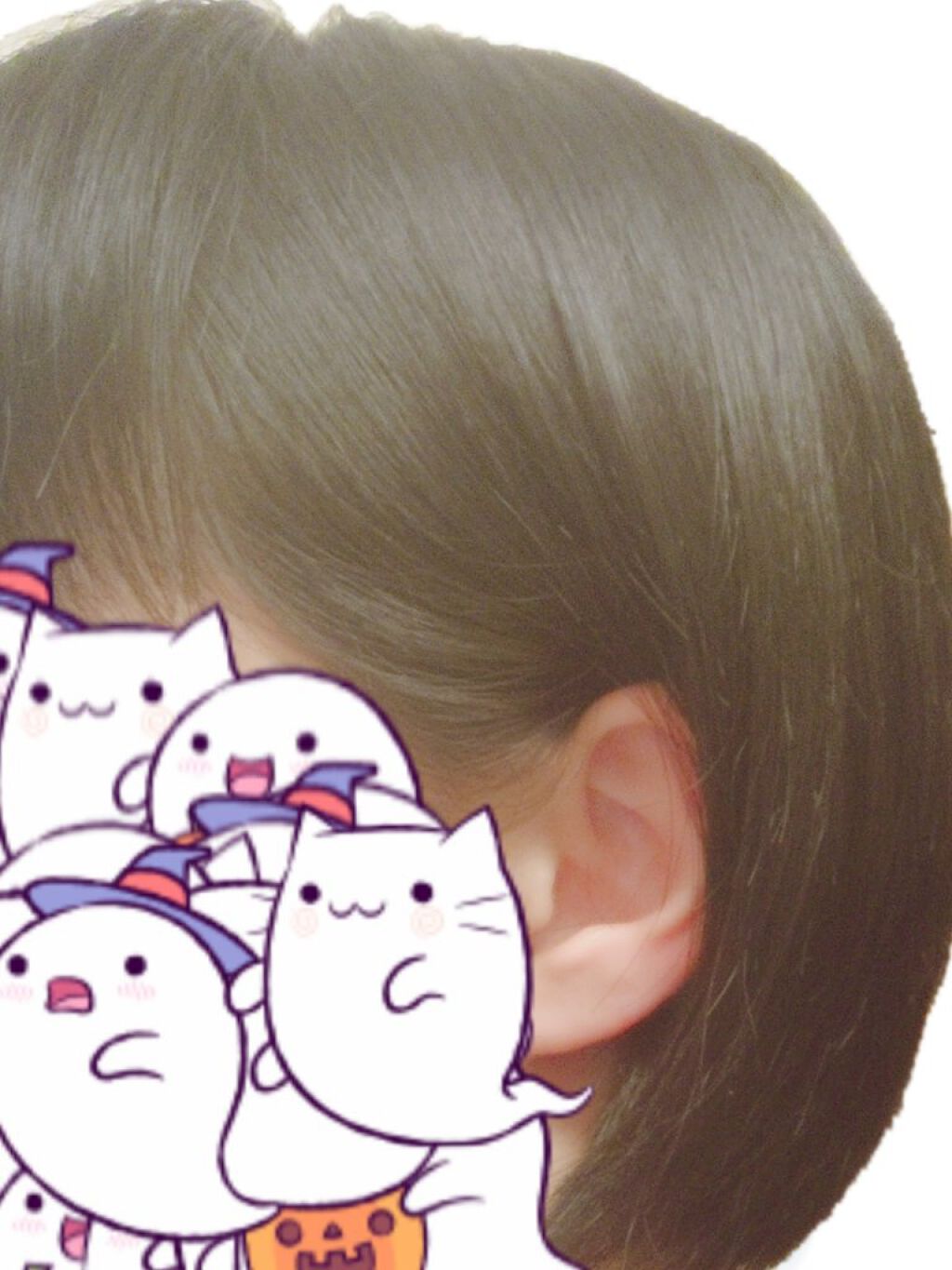 グラースローズの香り/シャンプー＆トリートメント/ダイアン/市販シャンプーを使ったクチコミ（2枚目）