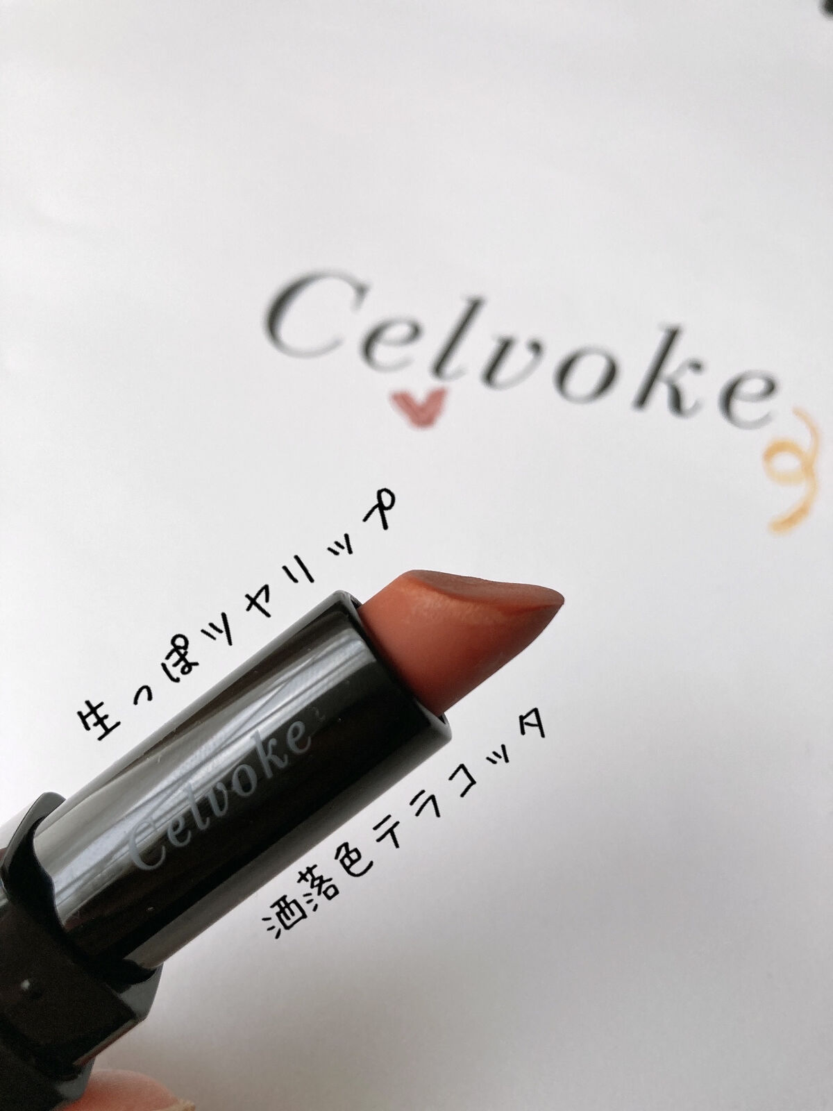 ディグニファイド リップス 09 テラコッタ/Celvoke/口紅を使ったクチコミ（1枚目）