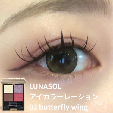 LUNASOL
アイカラーレーション
03　Butterfly Wing

6,820円(税込)




先日パーソナルカラー診断を受け、
1stクールウィンター
2ndクールサマー
と診断されたので、