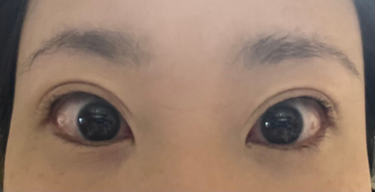 アニマルアイシャドウ(4シェード)/ZEESEA/アイシャドウパレットを使ったクチコミ(5枚目)