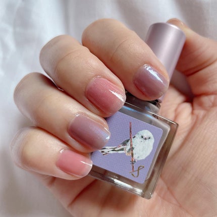 ネイルエス/ nail S(ネイルエス) /マニキュアを使ったクチコミ(1枚目)