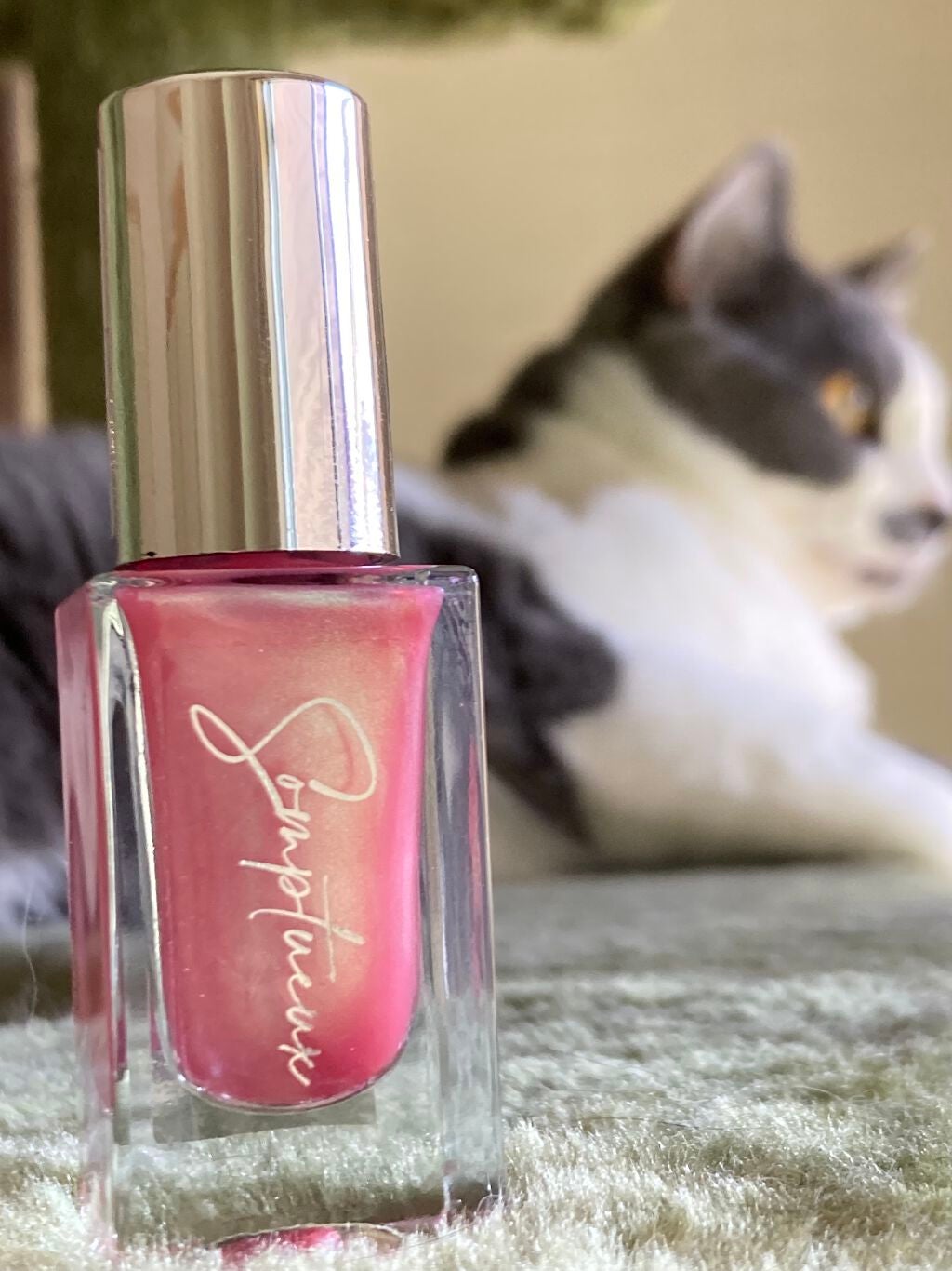 Somptueux(ソンプチュー) ネイルポリッシュ/DAISO/マニキュアを使ったクチコミ(5枚目)