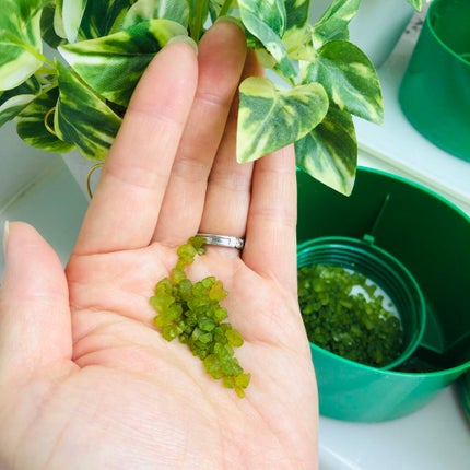 Ayur Time(アーユルタイム)/アーユルタイム/無機塩系入浴剤を使ったクチコミ(2枚目)