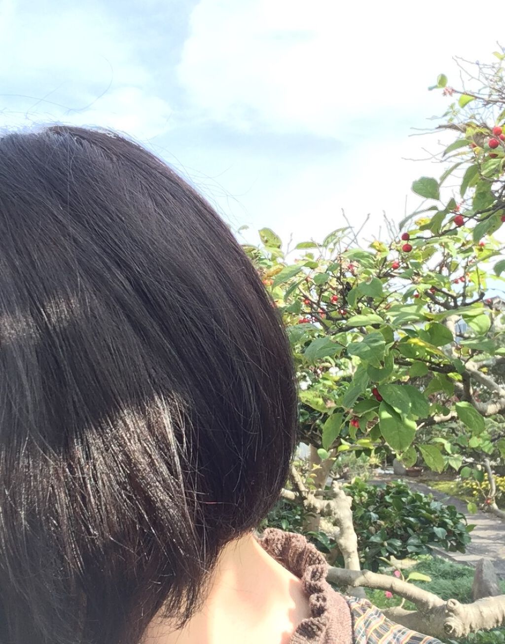 オーガニックジョセフィン シャンプー/トリートメント/ORGANIC JOSEFIN/市販シャンプーを使ったクチコミ(1枚目)