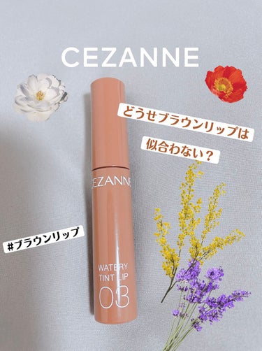 ウォータリーティントリップ/CEZANNE/口紅を使ったクチコミ（1枚目）