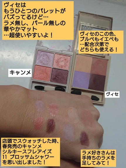 ニュアンス マット クリエイター PU-7 クラシカルモーヴ(限定)/Visée/アイシャドウパレットを使ったクチコミ(2枚目)