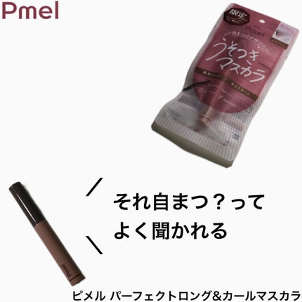 ピメル うそつきマスカラ/pdc/マスカラを使ったクチコミ(1枚目)