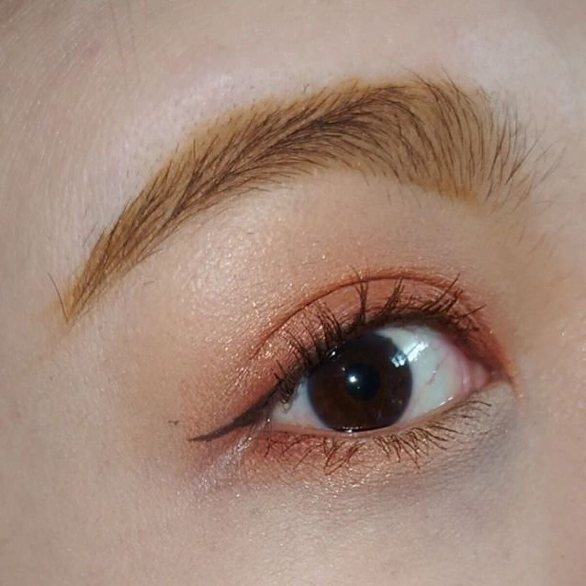 Clay it cool/ColourPop/アイシャドウパレットを使ったクチコミ(5枚目)