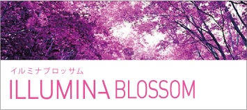 イルミナカラー ブロッサム