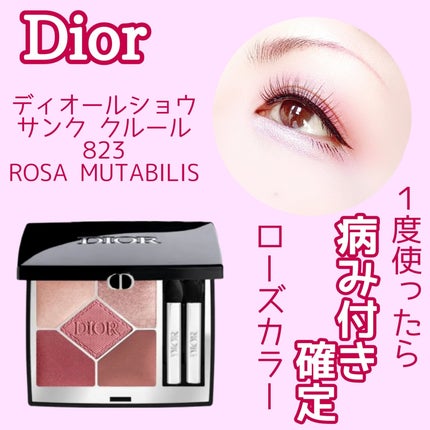 ディオールショウ サンク クルール/Dior/アイシャドウを使ったクチコミ(1枚目)