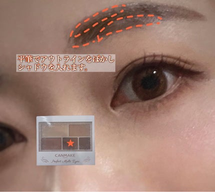 パーフェクトマルチアイズ/キャンメイク/アイシャドウパレットを使ったクチコミ(6枚目)