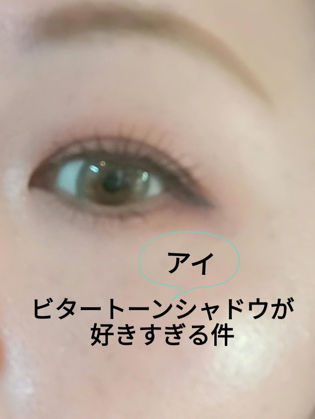 ビタートーンアイシャドウ/CEZANNE/パウダーアイシャドウを使ったクチコミ(1枚目)