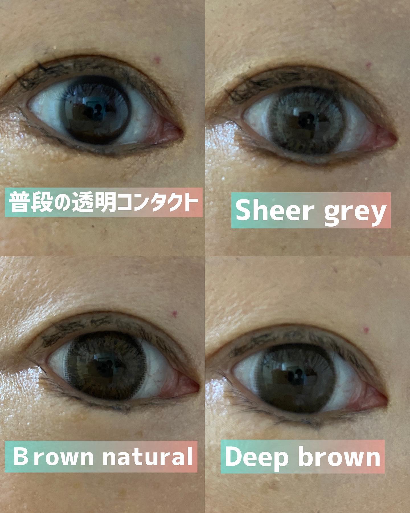 Diya 1day Mavie/Diya/ワンデー（１DAY）カラコンを使ったクチコミ（1枚目）