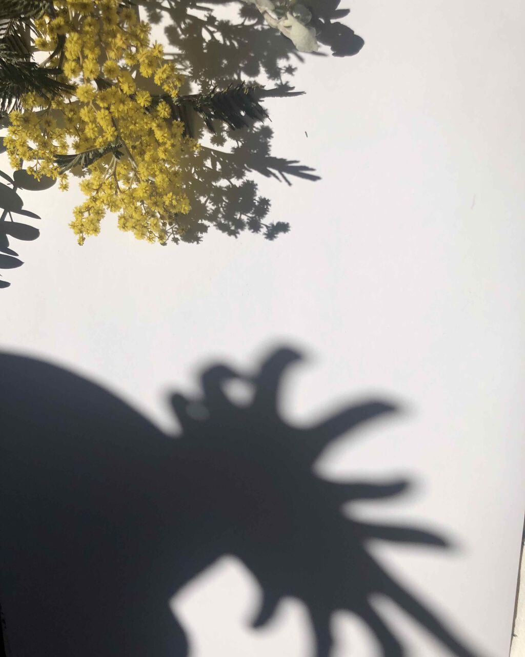 カラーリングアイブロウ/ヘビーローテーション/眉マスカラを使ったクチコミ(1枚目)