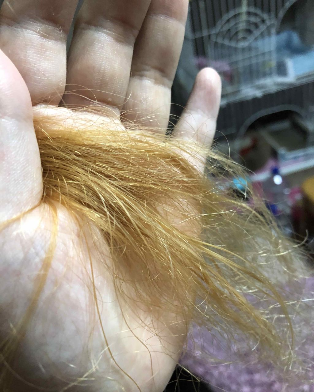 ブリーチ/フレッシュライト/ブリーチ剤を使ったクチコミ(3枚目)