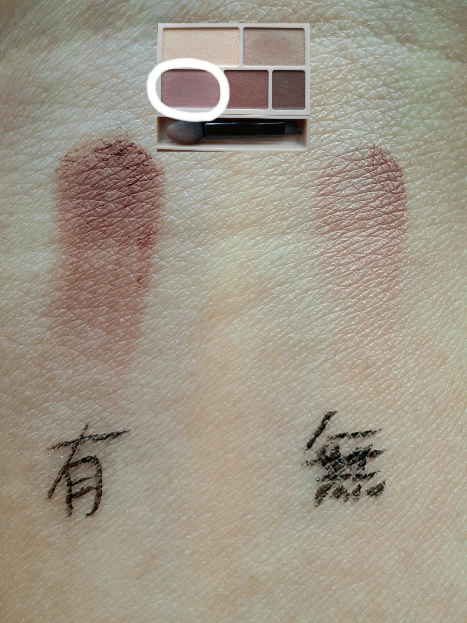 ケイト カラーコントロールアイベース/KATE/アイシャドウベースを使ったクチコミ（2枚目）