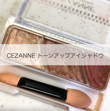 トーンアップアイシャドウ/CEZANNE/アイシャドウパレットを使ったクチコミ（1枚目）