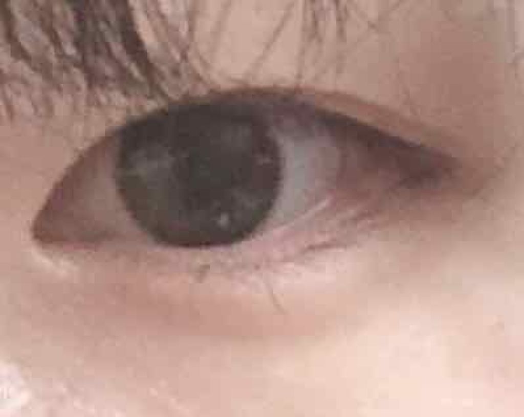 デザイニングアイブロウN/KATE/パウダーアイブロウを使ったクチコミ(2枚目)