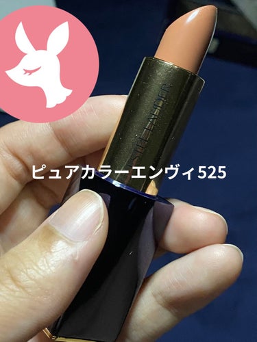 ピュア カラー エンヴィ リップスティック 525 トゥルース トーキング/ESTEE LAUDER/口紅を使ったクチコミ（1枚目）