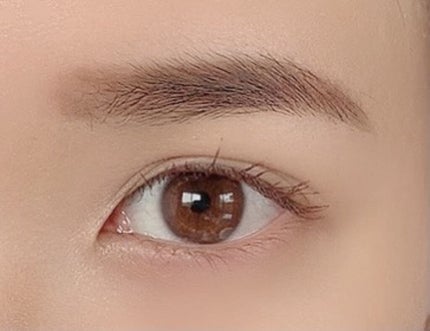 アイブロー パウダー/ちふれ/パウダーアイブロウを使ったクチコミ(4枚目)