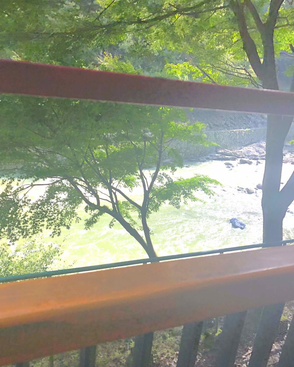 京都ルルルン(お茶の花の香り)/ルルルン/シートマスク・パックを使ったクチコミ(4枚目)