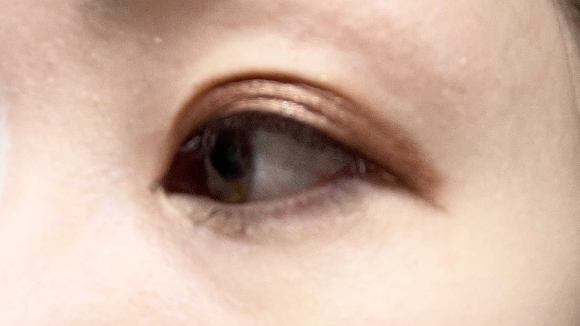 パーフェクトエクステンション マスカラ for カール/D-UP/マスカラを使ったクチコミ（1枚目）