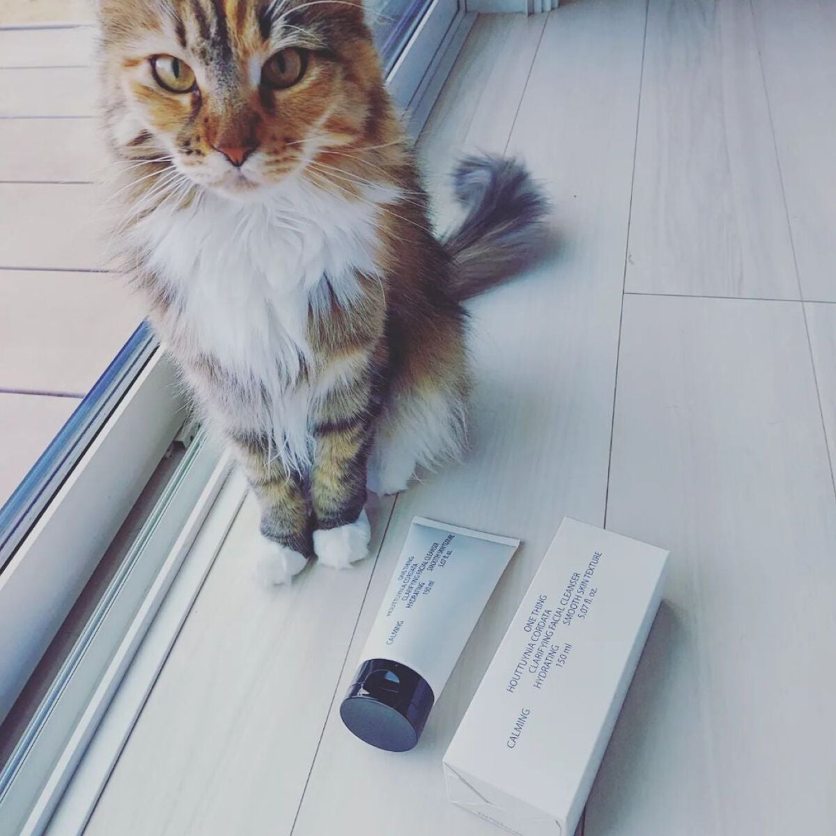 まるみ♡ on LIPS 「ONETHINGから春におすすめの新商品が出たよ〜✨✨寒〜い冬..」(4枚目)