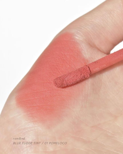 rom&nd ブラーファッジティント/rom&nd/リップティントを使ったクチコミ(6枚目)