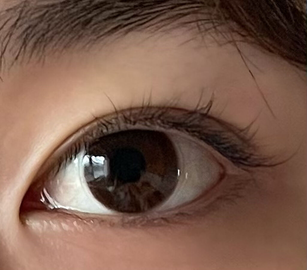 Ruth Chiffon ZERU 1day/ZERU/ワンデー（１DAY）カラコンを使ったクチコミ（2枚目）